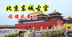 好屌逼视频中国北京-东城古宫旅游风景区